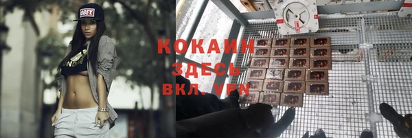 тгк Дмитриев