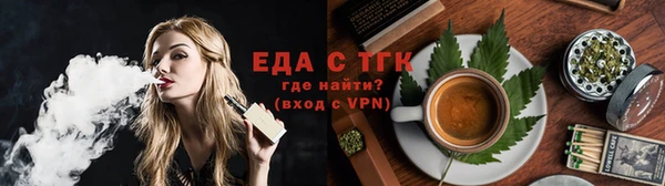 тгк Дмитриев