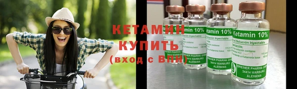тгк Дмитриев
