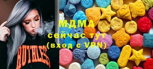 тгк Дмитриев