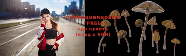 тгк Дмитриев