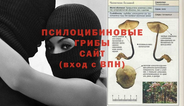 ECSTASY Дмитров