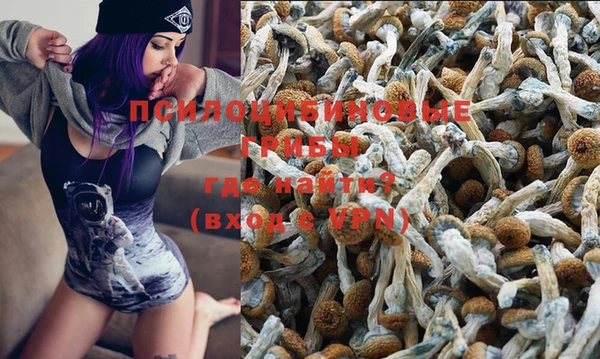 ECSTASY Дмитров