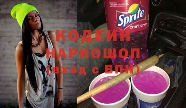 тгк Дмитриев