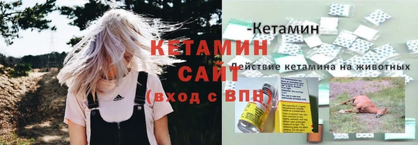 ECSTASY Дмитров