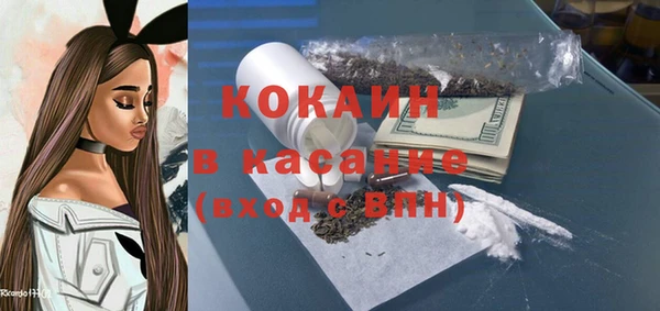 тгк Дмитриев